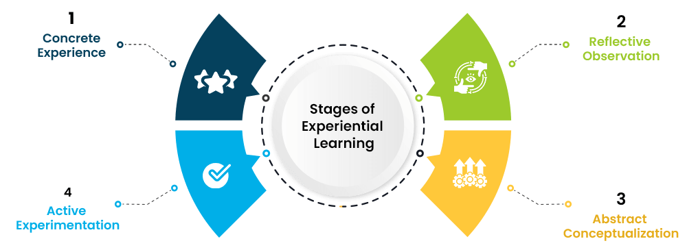 Stages of Experiential Learning