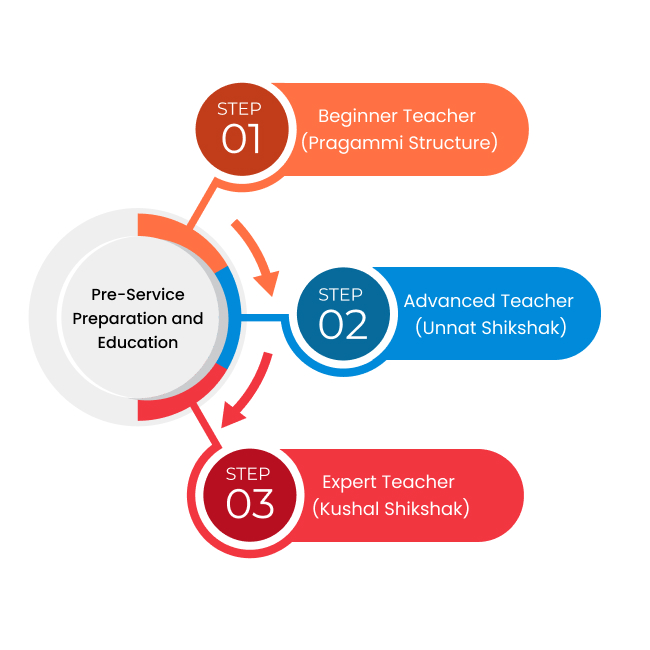 National Professional Standards for Teachers